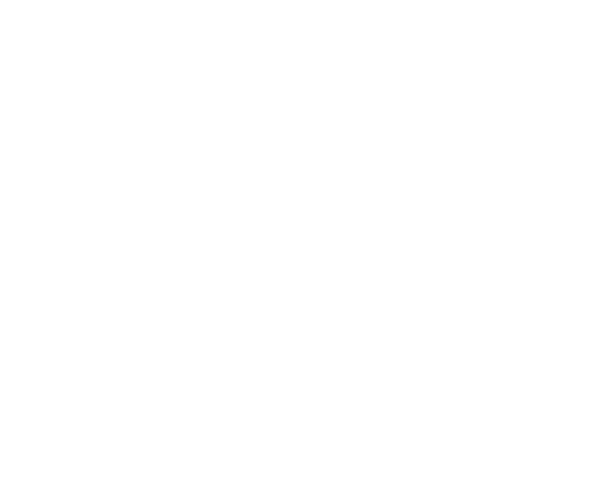 MaraPainter Logo